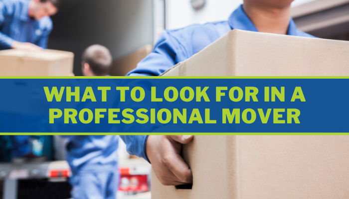 What to Look for In a Professional Mover