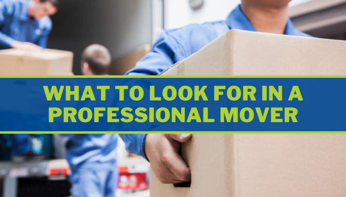What to Look for In a Professional Mover What to Look for In a Professional Mover