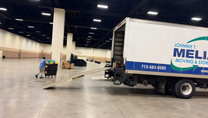 Why You Should Hire Professional Movers for a Local Move 