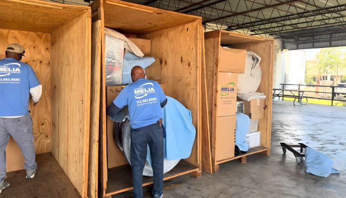 Why You Should Hire Professional Movers for a Local Move