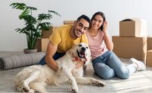 Be Pet-Friendly: How To Manage Your Animals During a Move